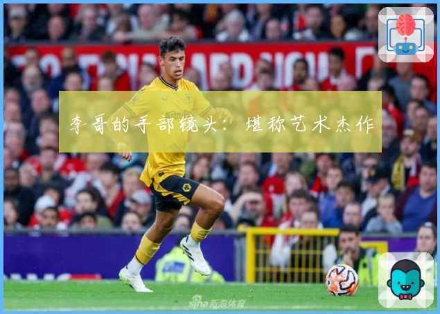 李哥的手部镜头：堪称艺术杰作