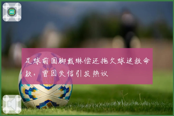 足球前国脚戴琳偿还拖欠球迷救命款，曾因失信引发热议